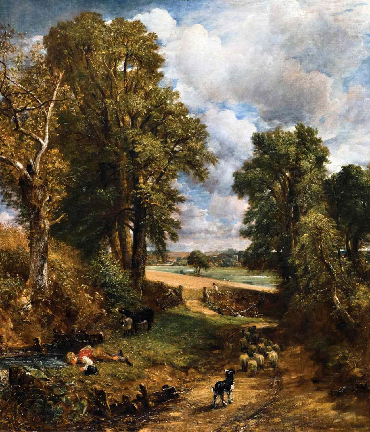The Cornfield